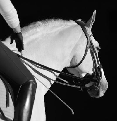 Exigences préalables à notre investissement ... - CAVALIER