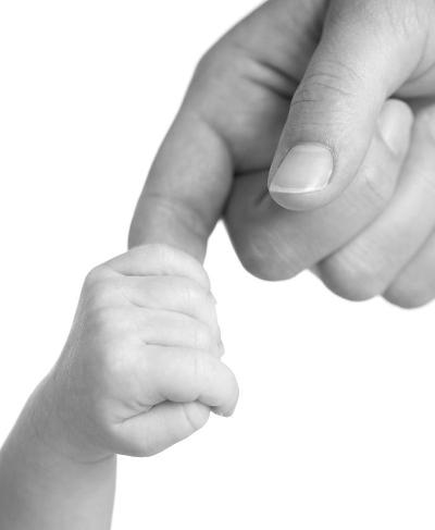 Notre Modèle : Champs d'Intervention